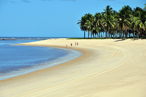 spiaggia di gunga in brasile
