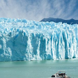Calafate