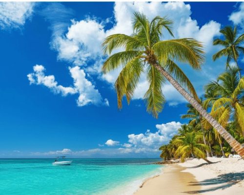 Beach-in-Punta-Cana-1024x538