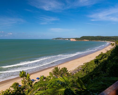 A beautiful view of the tree covered beach by the wavy ocean captured in Pipa, Brazil