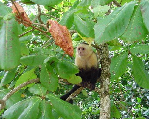 Costa Rica 2