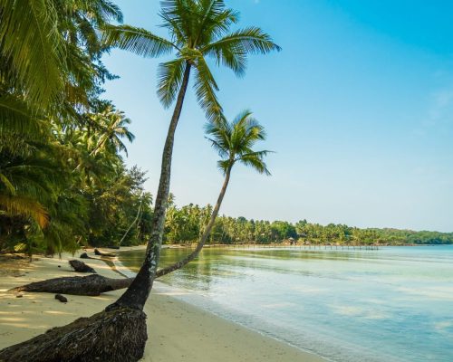 Beautiful paradise island with beach and sea around coconut palm tree at sunset time - Holiday Vacation concept