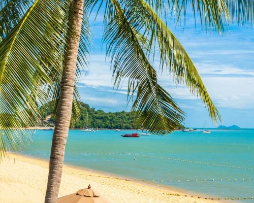 Beautiful tropical beach sea and ocean with coconut palm tree  and umbrella and chair on blue sky and white cloud for holiday vacation travel