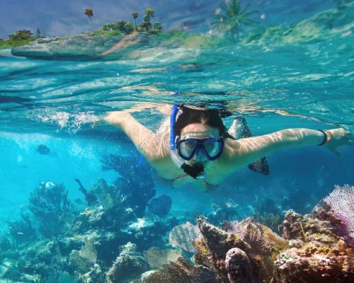 Snorkeling in Carribean sea