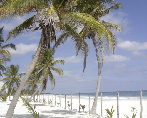 Mexico - Riviera maya boutique