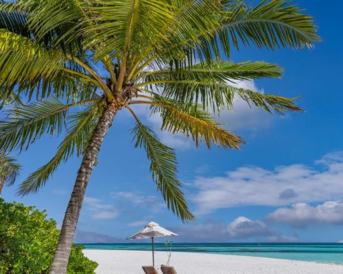 Punta Cana - island-landscape-love-couple