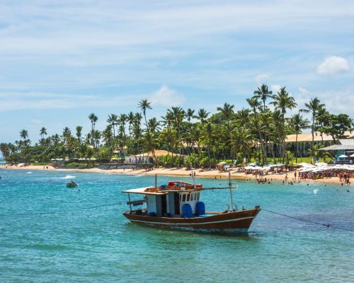 Praia do Forte, Bahia, Brazil, November 2020 - View of the beautiful Fort Beach (Praia do Forte)