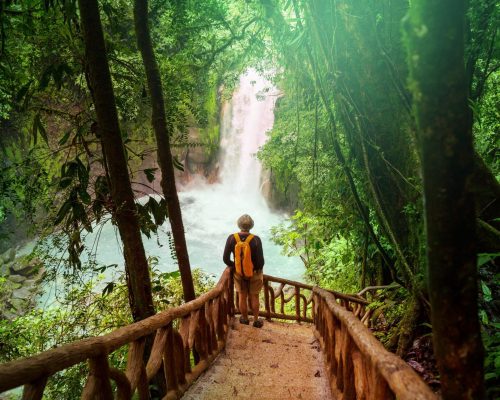 Hiking in green tropical jungle, Costa Rica, Central America