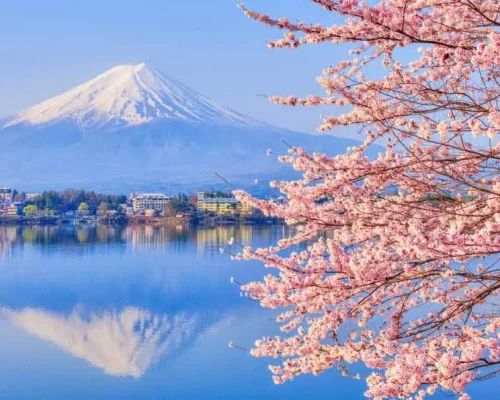 consejos-primavera-japon-japonismo