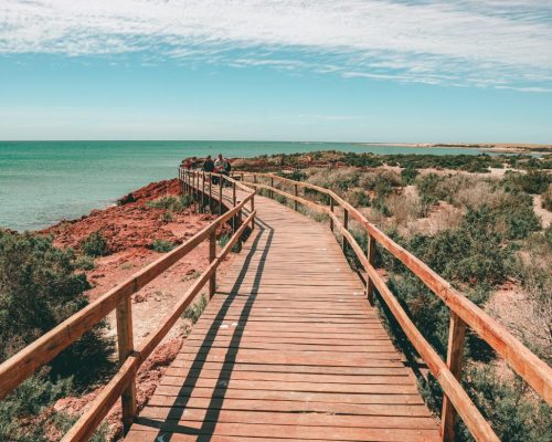excursion-punta-tombo-argentina-vision-2022-05