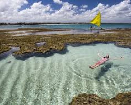 images (1)