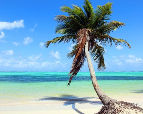 playa-bavaro-punta-cana
